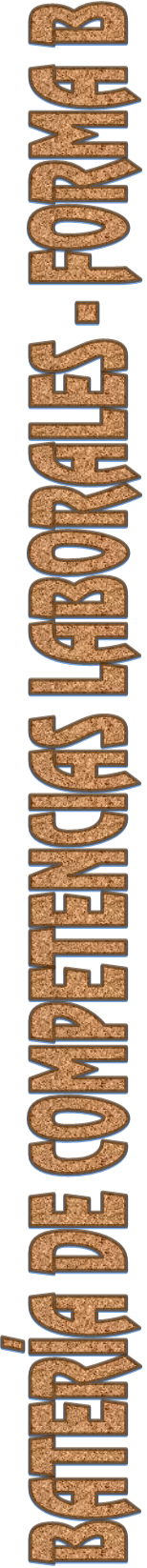 BATERA DE COMPETENCIAS LABORALES - FORMA B